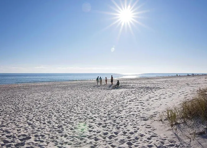 Breezyville Northeast Sun 12br *